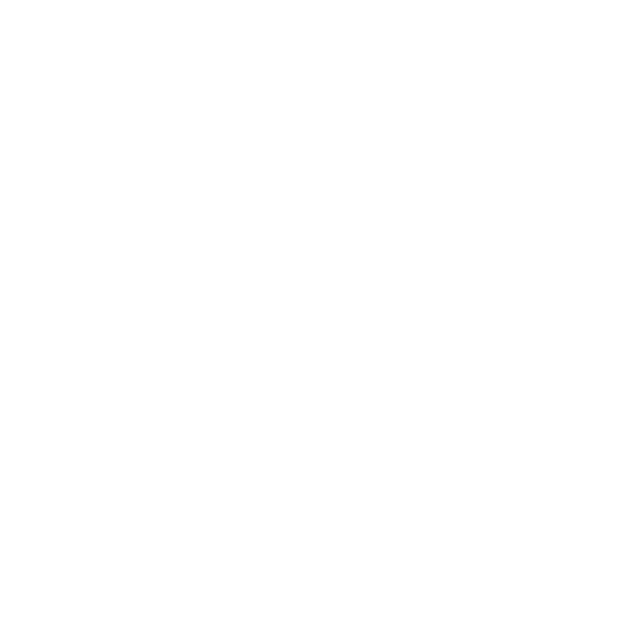 technical-service 1