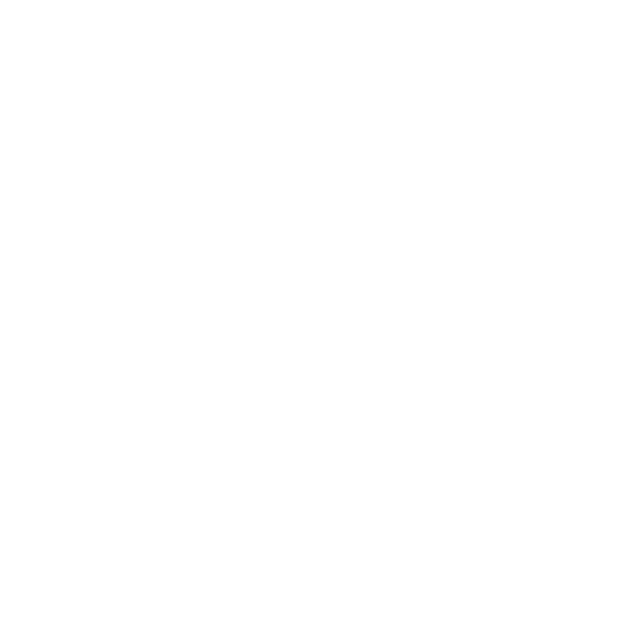 snowflake (1) 1